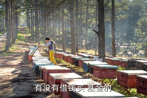 有沒(méi)有借錢買 基金的
