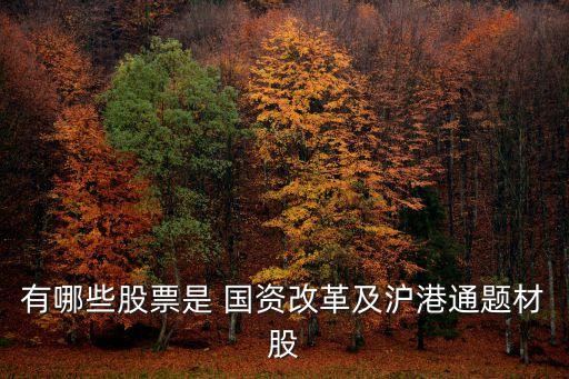有哪些股票是 國(guó)資改革及滬港通題材股