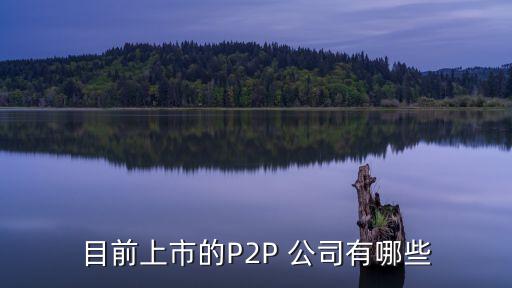 p2p是哪家公司引進(jìn)中國(guó)的