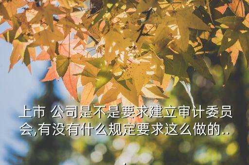  上市 公司是不是要求建立審計(jì)委員會(huì),有沒有什么規(guī)定要求這么做的...