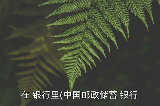在 銀行里(中國郵政儲(chǔ)蓄 銀行