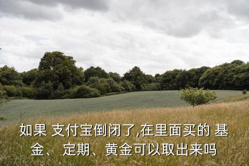 如果 支付寶倒閉了,在里面買的 基金、 定期、黃金可以取出來嗎