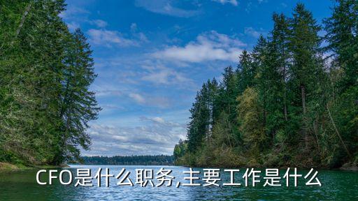 CFO是什么職務,主要工作是什么