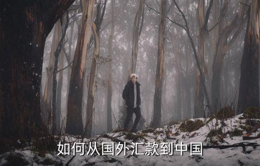 如何從國外匯款到中國