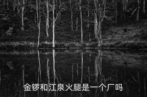 金鑼和江泉火腿是一個廠嗎