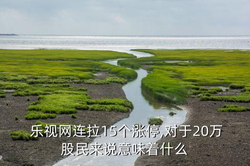  樂(lè)視網(wǎng)連拉15個(gè)漲停,對(duì)于20萬(wàn)股民來(lái)說(shuō)意味著什么