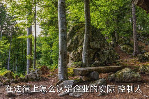 實(shí)際控制公司,gp和lp誰實(shí)際控制公司