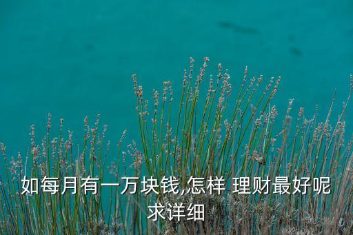 如每月有一萬塊錢,怎樣 理財最好呢求詳細(xì)