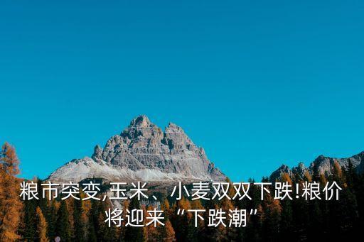糧市突變,玉米、小麥雙雙下跌!糧價(jià)將迎來(lái)“下跌潮”