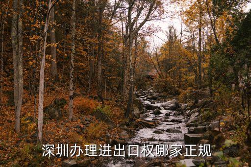  深圳辦理進(jìn)出口權(quán)哪家正規(guī)