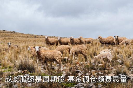成長股還是周期股 基金調倉頗費思量