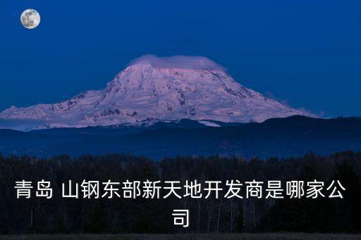 青島 山鋼東部新天地開發(fā)商是哪家公司