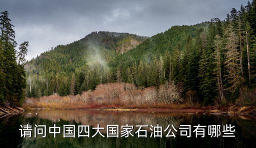 中化集團(tuán)與中海油比較,中海油和中化集團(tuán)哪個級別高?