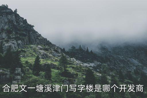 合肥文一塘溪津門寫字樓是哪個(gè)開發(fā)商