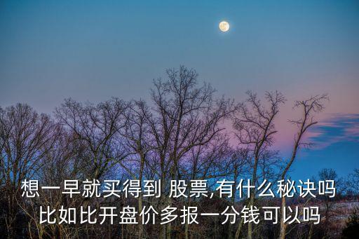 想一早就買得到 股票,有什么秘訣嗎比如比開盤價(jià)多報(bào)一分錢可以嗎