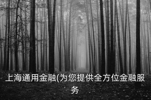 上海通用金融(為您提供全方位金融服務