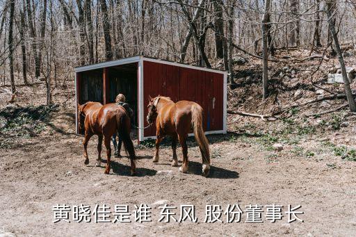 黃曉佳是誰 東風(fēng) 股份董事長