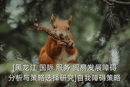 [黑龍江 國(guó)際 服務(wù) 貿(mào)易發(fā)展障礙分析與策略選擇研究]自我障礙策略