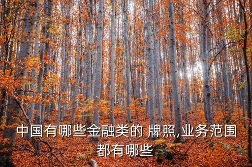 中國(guó)有哪些金融類(lèi)的 牌照,業(yè)務(wù)范圍都有哪些