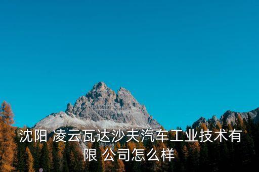  沈陽(yáng) 凌云瓦達(dá)沙夫汽車(chē)工業(yè)技術(shù)有限 公司怎么樣