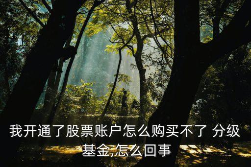 我開(kāi)通了股票賬戶怎么購(gòu)買不了 分級(jí) 基金,怎么回事