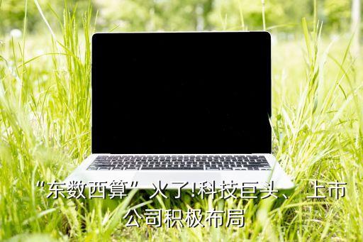 “東數(shù)西算”火了!科技巨頭、 上市 公司積極布局