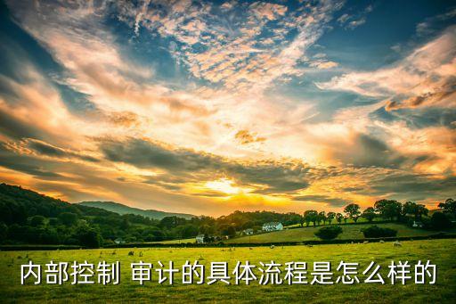 內部控制 審計的具體流程是怎么樣的