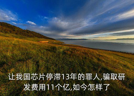 讓我國(guó)芯片停滯13年的罪人,騙取研發(fā)費(fèi)用11個(gè)億,如今怎樣了