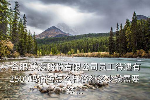 合肥美菱集團公司,合肥中國化學工程集團公司