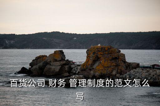 百貨公司 財(cái)務(wù) 管理制度的范文怎么寫(xiě)
