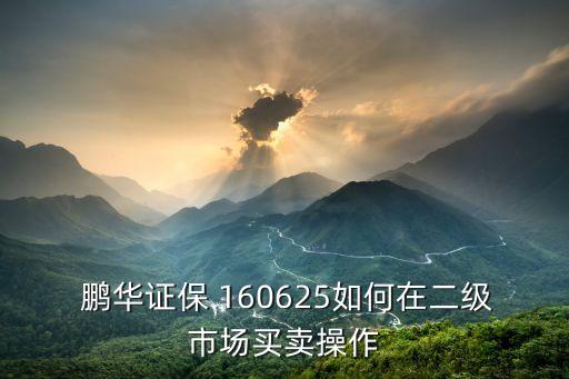 160625鵬華非銀行分級,鵬華證券保險(xiǎn)分級160625