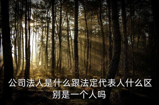  公司法人是什么跟法定代表人什么區(qū)別是一個人嗎