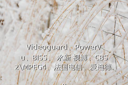 Videoguard、PowerVu、BISS、 永新 視博、CBS2\MPEG4、法國(guó)電信、愛迪德...