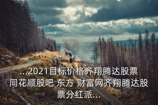 中國石化東方財富股吧,000676東方財富網股吧