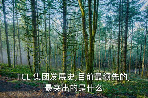 TCL 集團發(fā)展史,目前最領(lǐng)先的,最突出的是什么