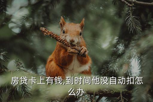  房貸卡上有錢(qián),到時(shí)間他沒(méi)自動(dòng)扣怎么辦