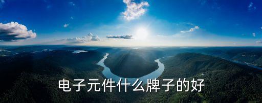 電子元件什么牌子的好