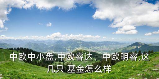 中歐中小盤,中歐睿達(dá)、中歐明睿,這幾只 基金怎么樣