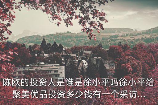 陳歐的投資人是誰是徐小平嗎徐小平給聚美優(yōu)品投資多少錢有一個采訪...