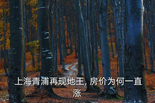 上海未來房價(jià)漲的你目瞪口呆,上海東站附近房價(jià)未來會(huì)漲嗎