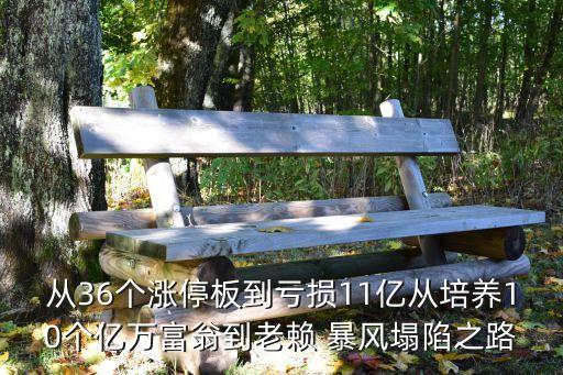 從36個漲停板到虧損11億從培養(yǎng)10個億萬富翁到老賴 暴風(fēng)塌陷之路