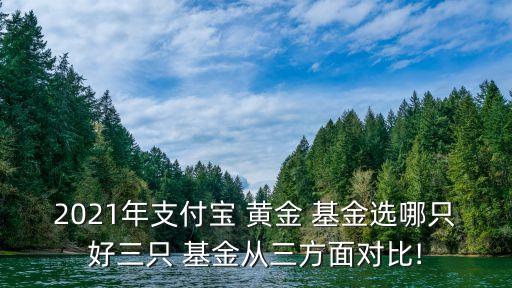 2021年支付寶 黃金 基金選哪只好三只 基金從三方面對(duì)比!