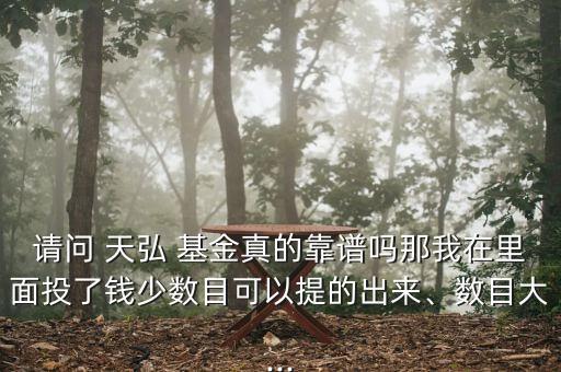 請(qǐng)問(wèn) 天弘 基金真的靠譜嗎那我在里面投了錢(qián)少數(shù)目可以提的出來(lái)、數(shù)目大...