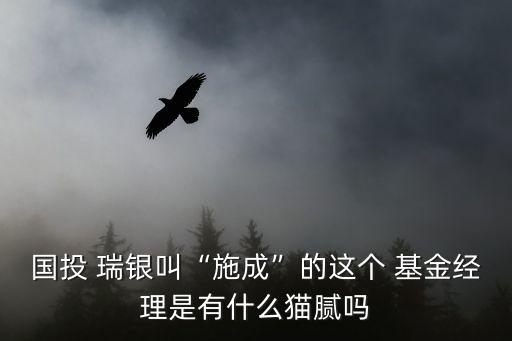 國投 瑞銀叫“施成”的這個 基金經(jīng)理是有什么貓膩嗎