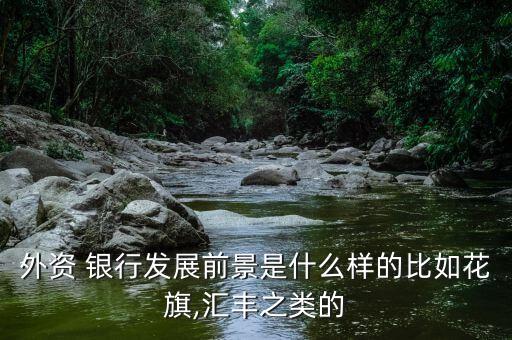 外資 銀行發(fā)展前景是什么樣的比如花旗,匯豐之類(lèi)的