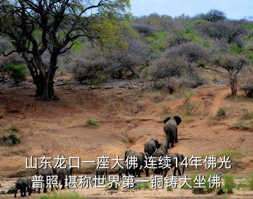  山東龍口一座大佛,連續(xù)14年佛光普照,堪稱(chēng)世界第一銅鑄大坐佛