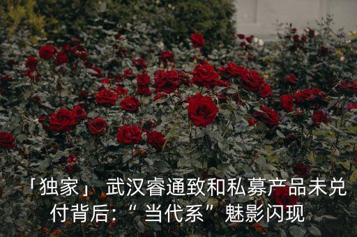 「獨家」 武漢睿通致和私募產(chǎn)品未兌付背后:“ 當代系”魅影閃現(xiàn)