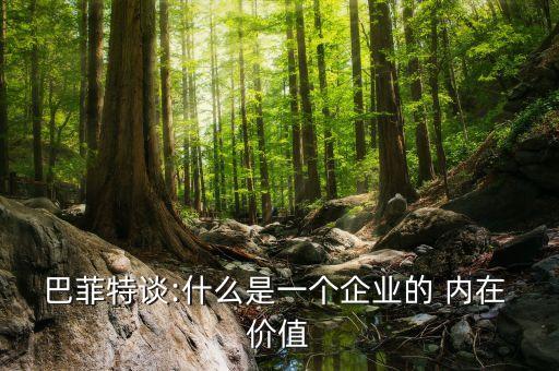 上市公司內(nèi)在價(jià)值