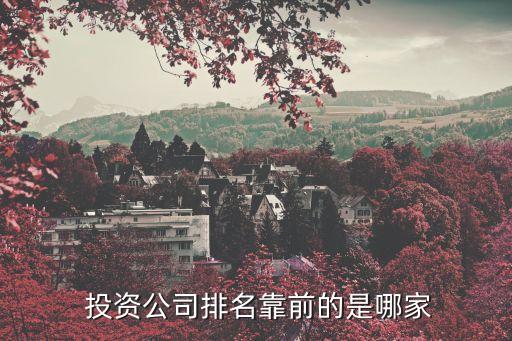  投資公司排名靠前的是哪家