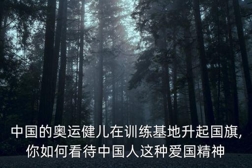 中國的奧運健兒在訓練基地升起國旗,你如何看待中國人這種愛國精神